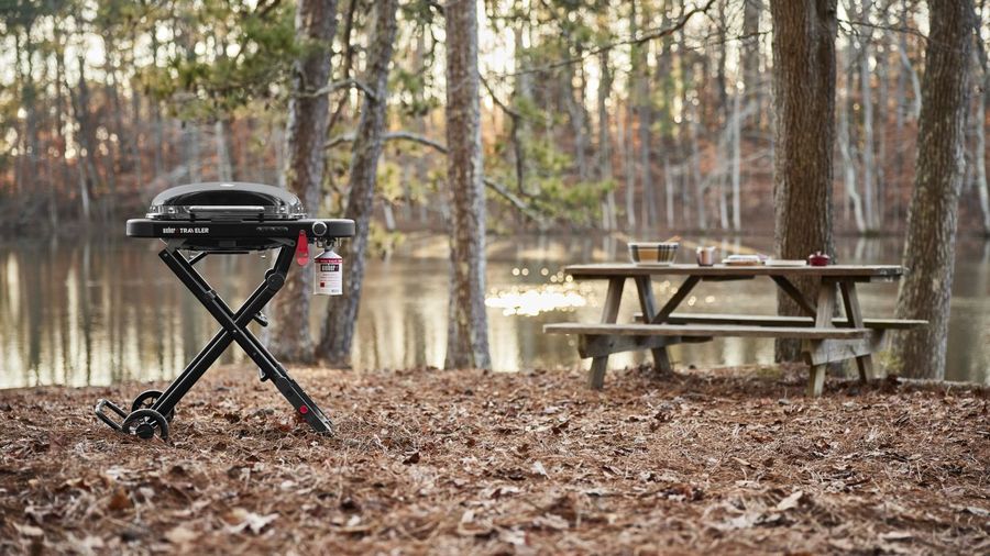 Weber Traveler Compact